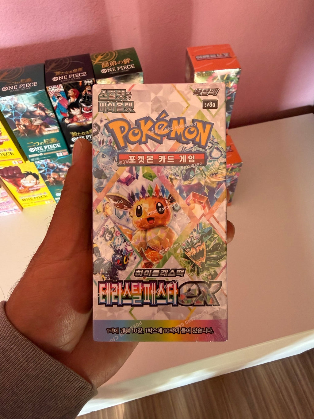Pokémon Terastal Festival (Korean Display) Breaks - OneTugaPiece